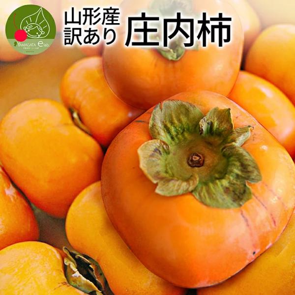 ` 󂠂 5kg R`Y ` a Yn  JL ƒp p Bi ʕ t[c  Yn