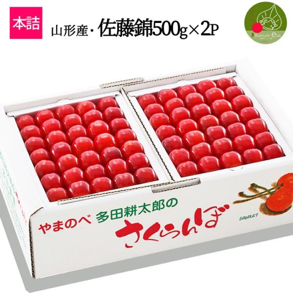 azimiya_sk-304 azimiya_sk-304