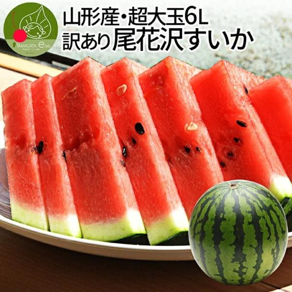  󂠂 6L 11kgȏ 1 ԑY XCJ  ƒp Ɨp Â VV  Z