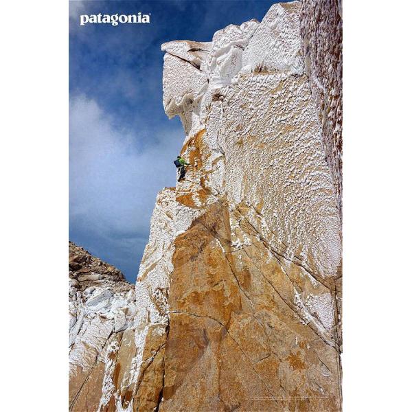 Edward Truter brings/パタゴニア/ポスター Edward Truter brings/パタゴニア/ポスター