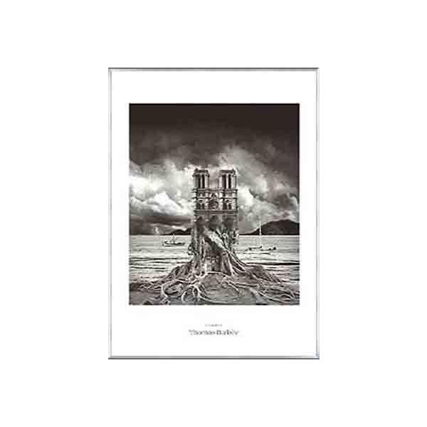 |X^[ A[g \ig[}X o[r[j zi A~x[VbNt[