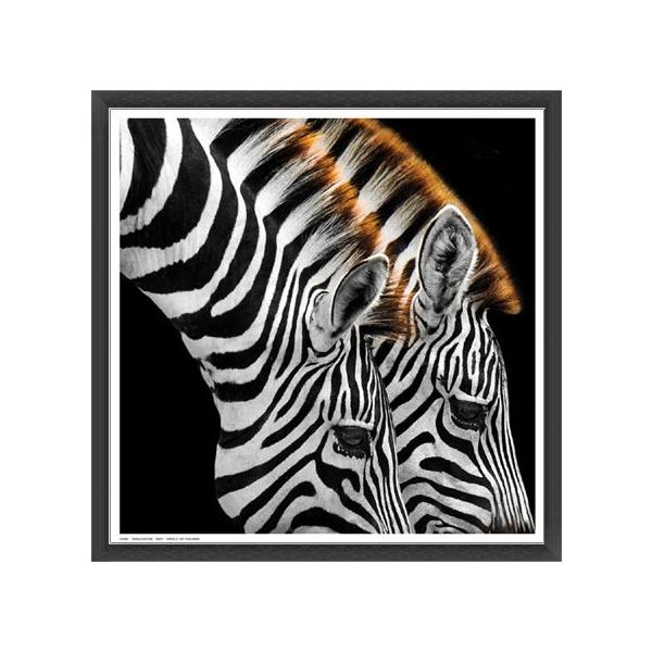 Zebras GrazingiA[eBXgsj zi Ebhx[VbNt[