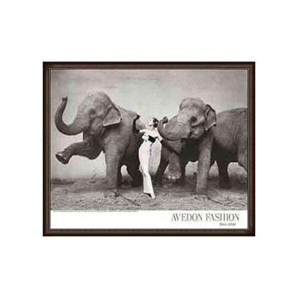 |X^[ A[g Dovima With Elephantsi`[h Axhj zi EbhnCO[ht[