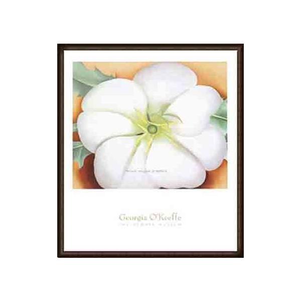 White Flower on Red Earth No. 1iW[WA IL[tj zi EbhnCO[ht[