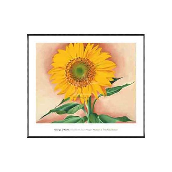 額装品/Sunflowe/ジョージア オキーフ ポスター アート Sunflower from Maggie 1937（ジョージア オキーフ