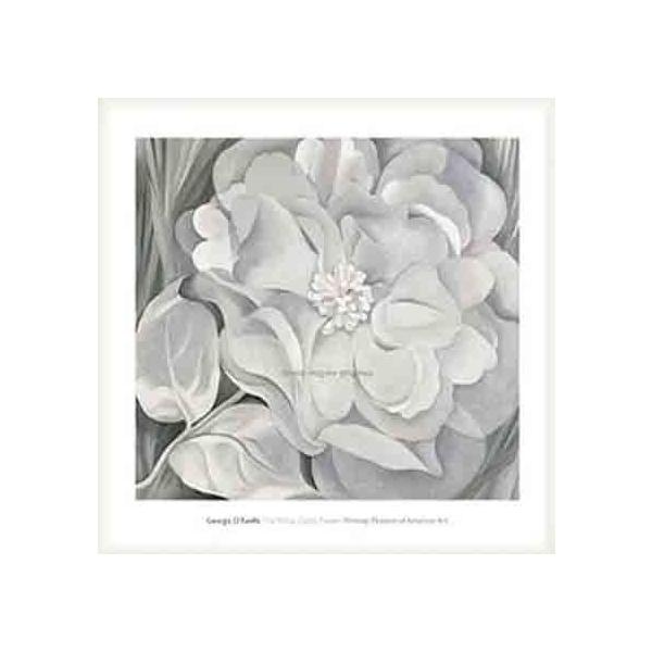 |X^[ A[g The White Calico Flower  1931iW[WA IL[tj zi Ebhx[VbNt[