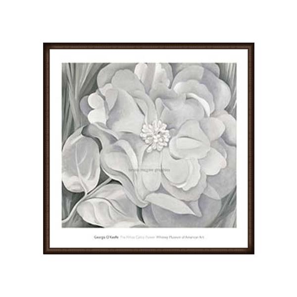 |X^[ A[g The White Calico Flower  1931iW[WA IL[tj zi EbhnCO[ht[