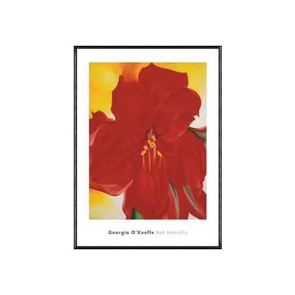 |X^[ A[g Red AmaryllisA 1937iW[WA IL[tj zi A~nCO[ht[
