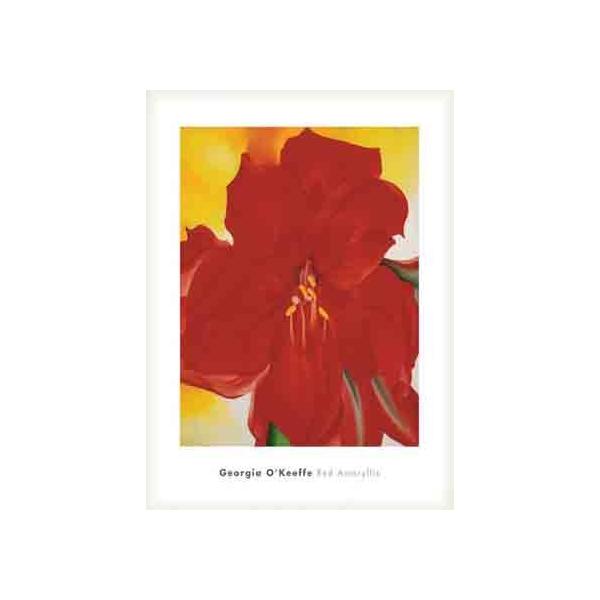 ポスター アート Red Amaryllis、 1937（ジョージア オキーフ） 額装品