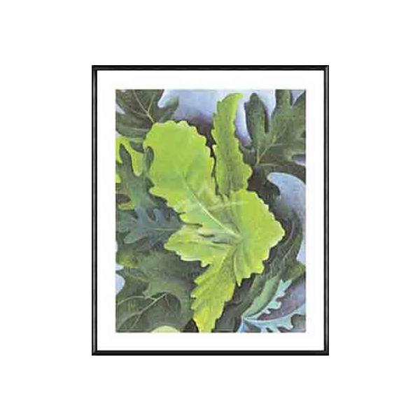 Green Oak LeavesiW[WA IL[tj zi A~nCO[ht[