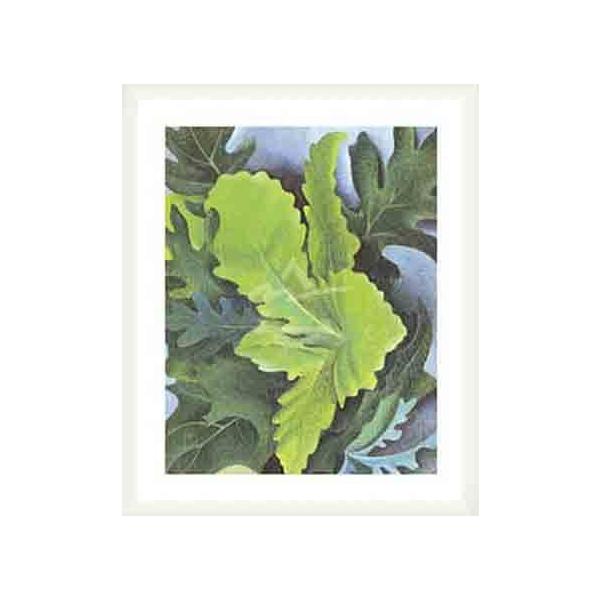 Green Oak LeavesiW[WA IL[tj zi Ebhx[VbNt[