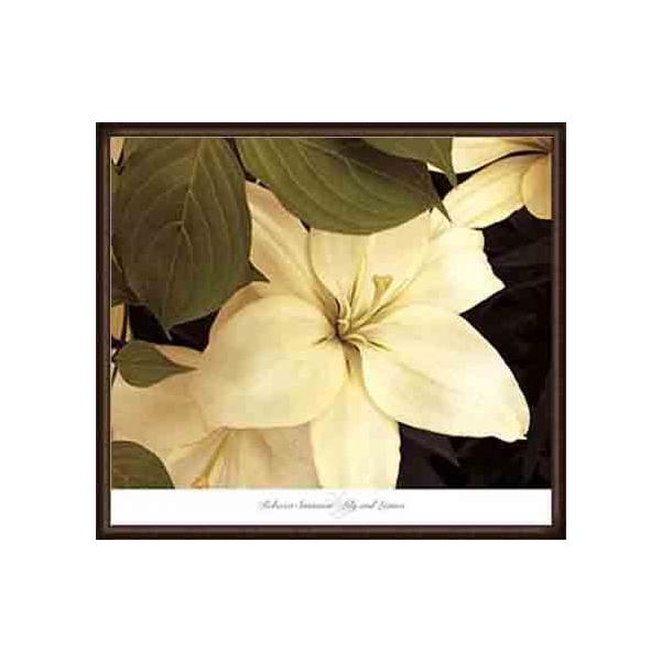 |X^[ A[g Lily and LeavesixbJ X\j zi EbhnCO[ht[