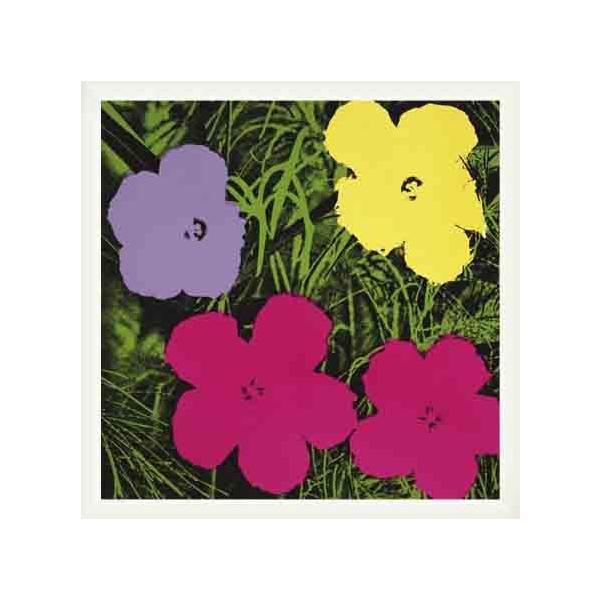 t[Y 1970 (1 purpleA 1 yellowA 2 pink)iAfB EH[zj zi Ebhx[VbNt[