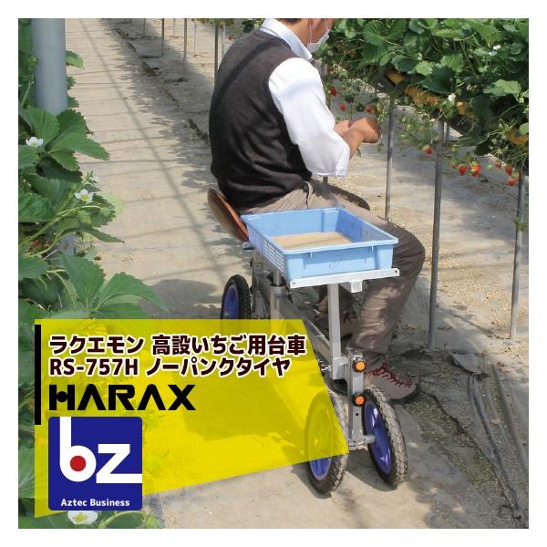 高設いちご用台車 2台セット 【公式通販】 高設いちご用台車 2