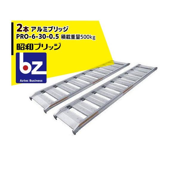 昭和ブリッジ販売(株) アルミブリッジ 2枚 180CM 最大荷重