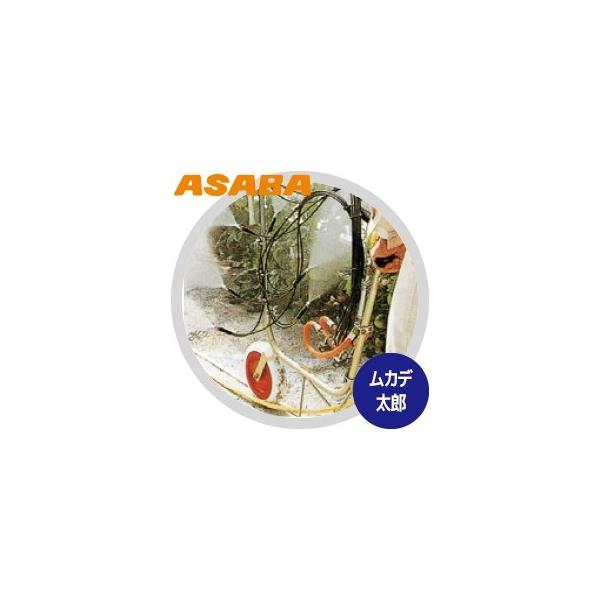 ���� asaba ���J�f���Y MR6<�����E1�֑�ԃZ�b�g>+1�������ݕ���