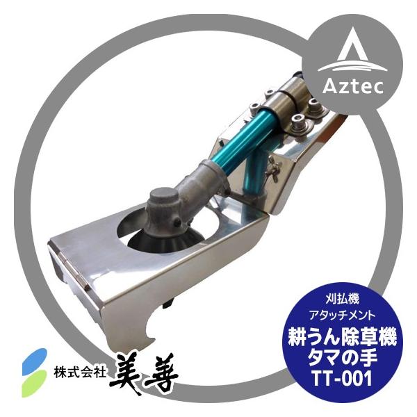 aztec_bzn-tt001