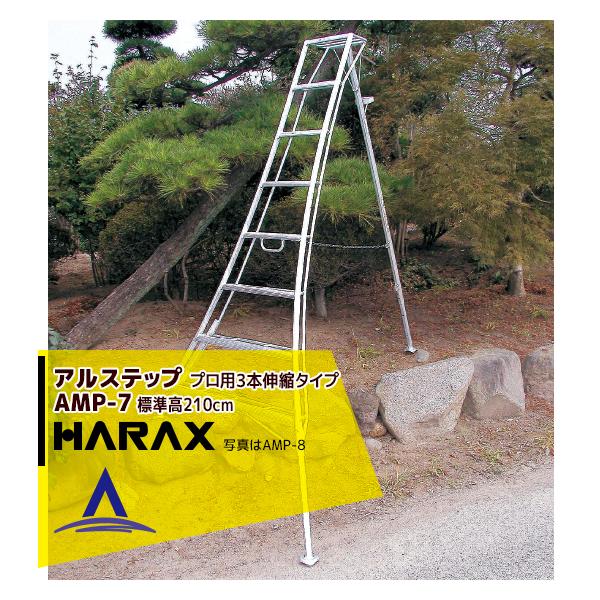 nbNX HARAX &lt;4seti&gt;AXebv AMP-7&lt;s3{Lk&gt; M̓{IA~ Orr