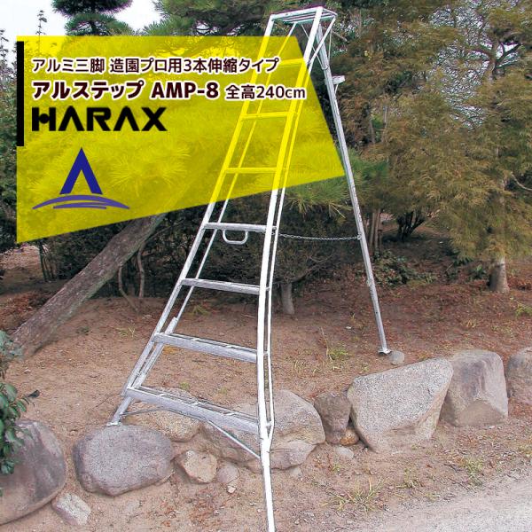 aztec_harax-amp8