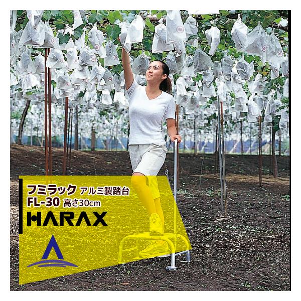 �n���b�N�X HARAX <2��set�i>�t�~���b�N FL-30 �A���~�� ����