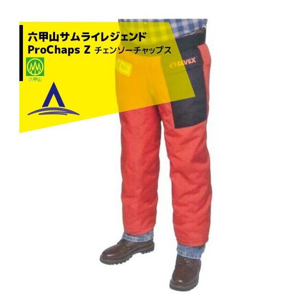 n}Y h앞 `F[\[`bvX ZbRTCWFh ProChaps Z