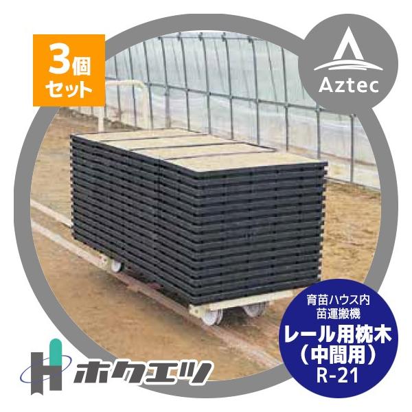 zNGc nEX gbR [p (ԗp)  R-21 3Zbg