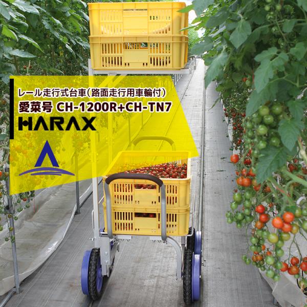 nbNX HARAX &lt;4set&gt;&lt;2iA^b`gset&gt;A~^ [s Hnspԗ֕t ؍ CH-1200R+CH-TN7 m[pN^C