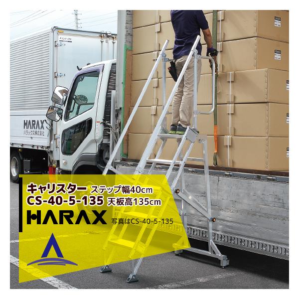 nbNX HARAX &lt;2seti&gt;ړIƑ LX^[ CS-40-5-135 Xebv40cm^Cv ב䏸~ ז
