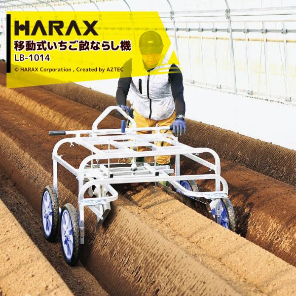（掘り）ライラック・根付き若い苗木・10本・15~２０㌢13000円・注文後掘 fd1c76203fc32d98a059373f70efa0
