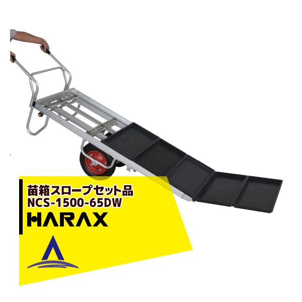 nbNX HARAX &lt;2seti&gt;cX[v NCS-1500-65DW (2ցERCN-65DWZbgi)