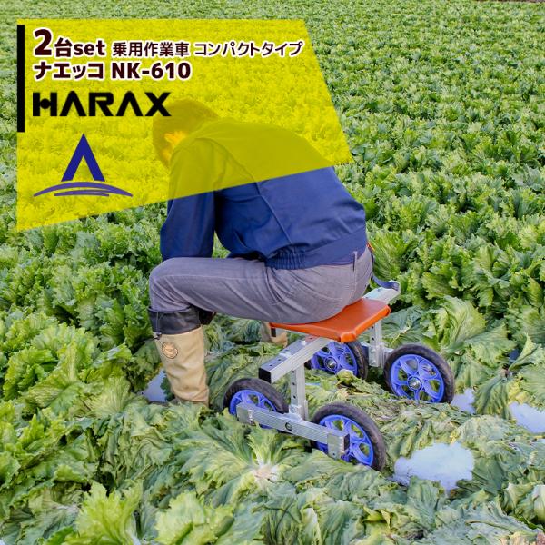 nbNX HARAX &lt;2seti&gt;pƎ iGbR RpNg^Cv NK-610 ^XELxc̎nɁI