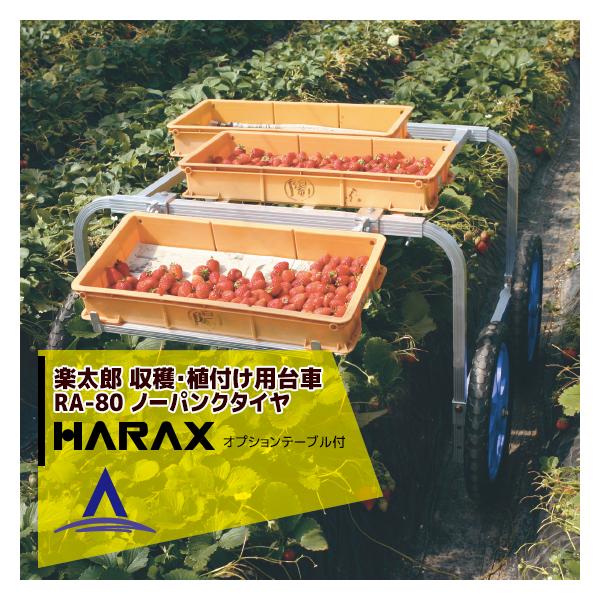 nbNX HARAX &lt;2seti&gt;A~ nEAtp yY RA-80 ύڗ80kg e[u