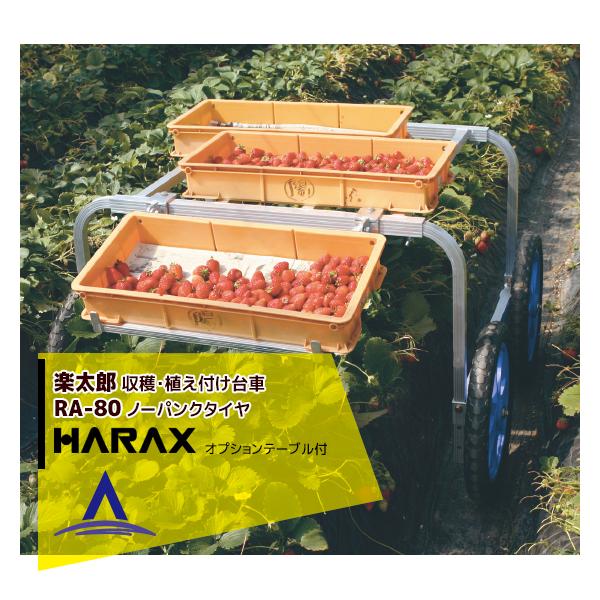 nbNX HARAX &lt;4seti&gt;A~ nEAtp yY RA-80 ύڗ80kg e[u
