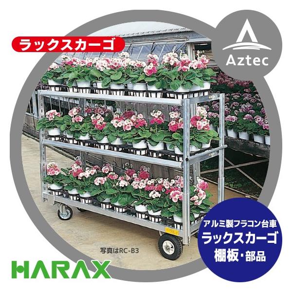 nbNX HARAX &lt;i&gt;bNXJ[S I 1 RC-TP