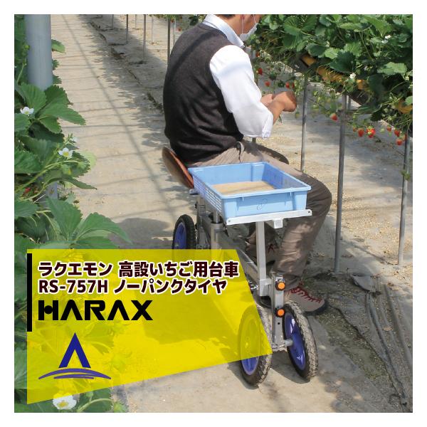 nbNX HARAX &lt;4seti&gt;NG ݂p RS-757H m[pN^C (12N)