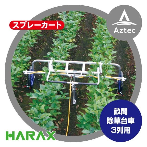 aztec_hrx-sb1600