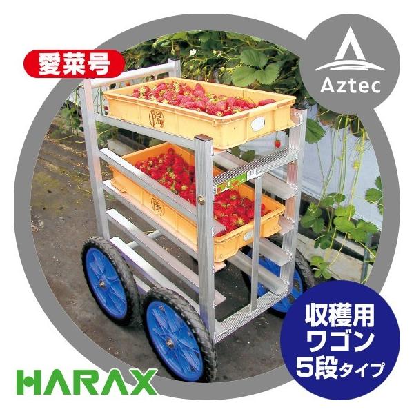 aztec_hrx-sw514
