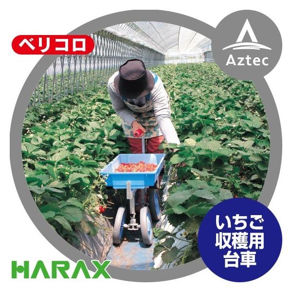 aztec_hrx-vc60 aztec_hrx-vc60