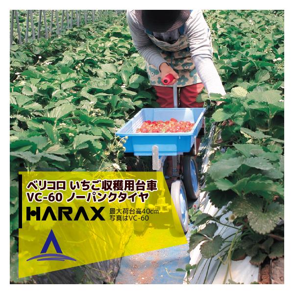 nbNX HARAX &lt;2seti&gt;xR A~ np VC-60