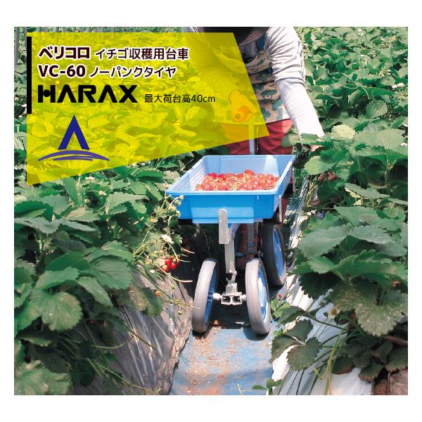 nbNX HARAX &lt;4seti&gt;xR A~ np VC-60