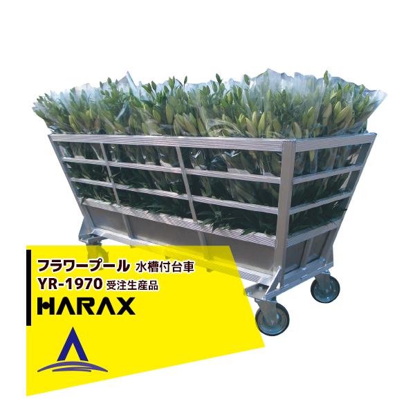 nbNX HARAX &lt;30seti&gt;t[v[ YR-1970 A~ XeXt &lt;@llE󒍐Yi&gt;