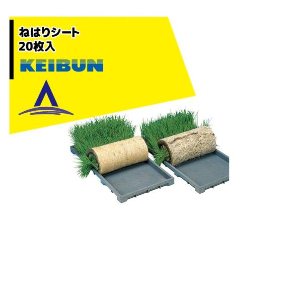 [А쏊 KEIBUN ˂͂V[g 20̂ g؂^Cv