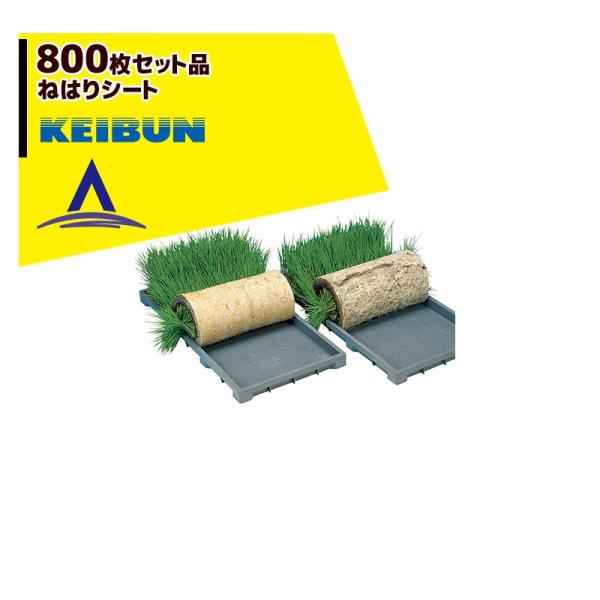 [А쏊 KEIBUN ˂͂V[g 800seti g؂^Cv