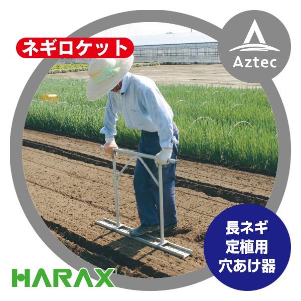 nbNX HARAX lMPbg N-130S-19 (20{) / N-140S-22 (13{)  lMAp