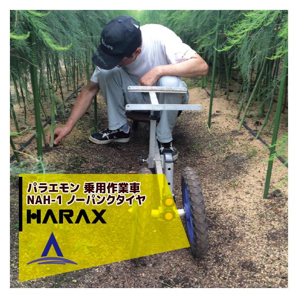 nbNX HARAX &lt;4seti&gt;pG NAH-1 pƎ  (앨̎nEǗ)  őgp׏d100kg