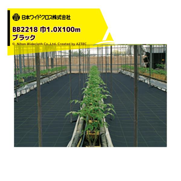 {ChNX hV[g &lt;2{Zbgi&gt;h̓AOV[g 1.0mX100m ubN BB2218 [J[ @ll