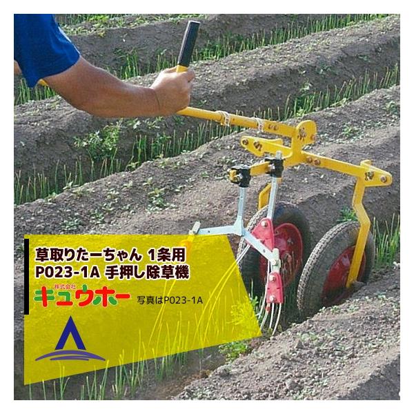 LEz[ Q-hoe 肽[ 1p PA023-1A iԁFP023-1A 艟@