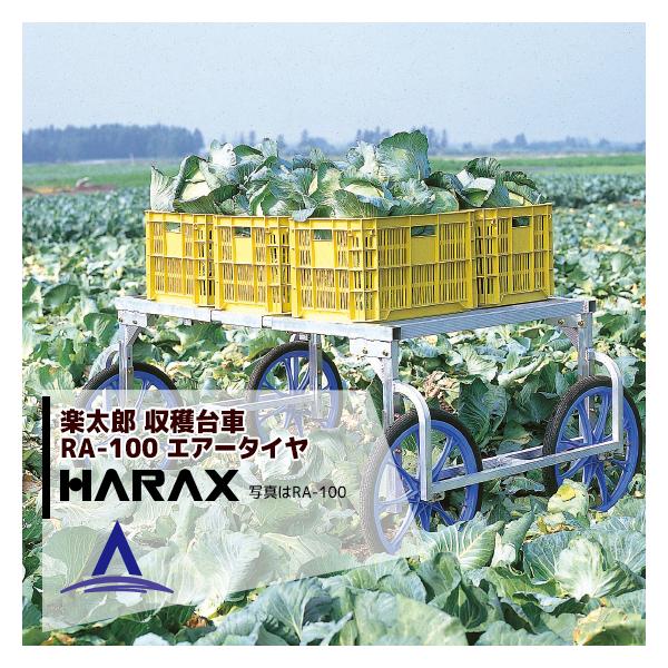 nbNX HARAX &lt;4seti&gt;HARAX A~ n yY RA-100 ύڗ150kg GA[^Cdl