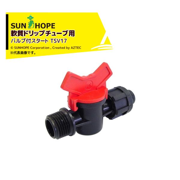 チューリップ！ 産直】センティアのおまかせチューリップ