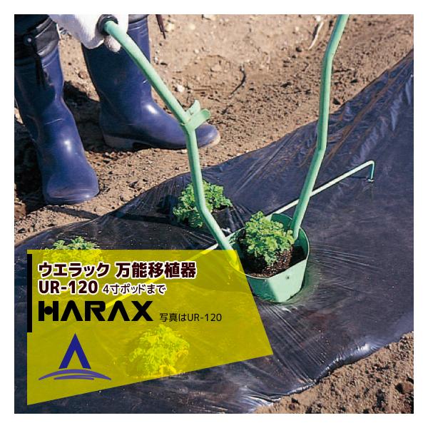 nbNX HARAX &lt;2seti&gt;EGbN UR-120 (4|bg܂ŐAt)  \ڐA ({̃XeX)